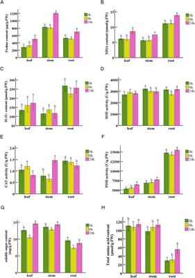 Integrated PacBio SMRT and Illumina sequencing uncovers transcriptional and physiological responses to drought stress in whole-plant Nitraria tangutorum